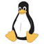 Linux
