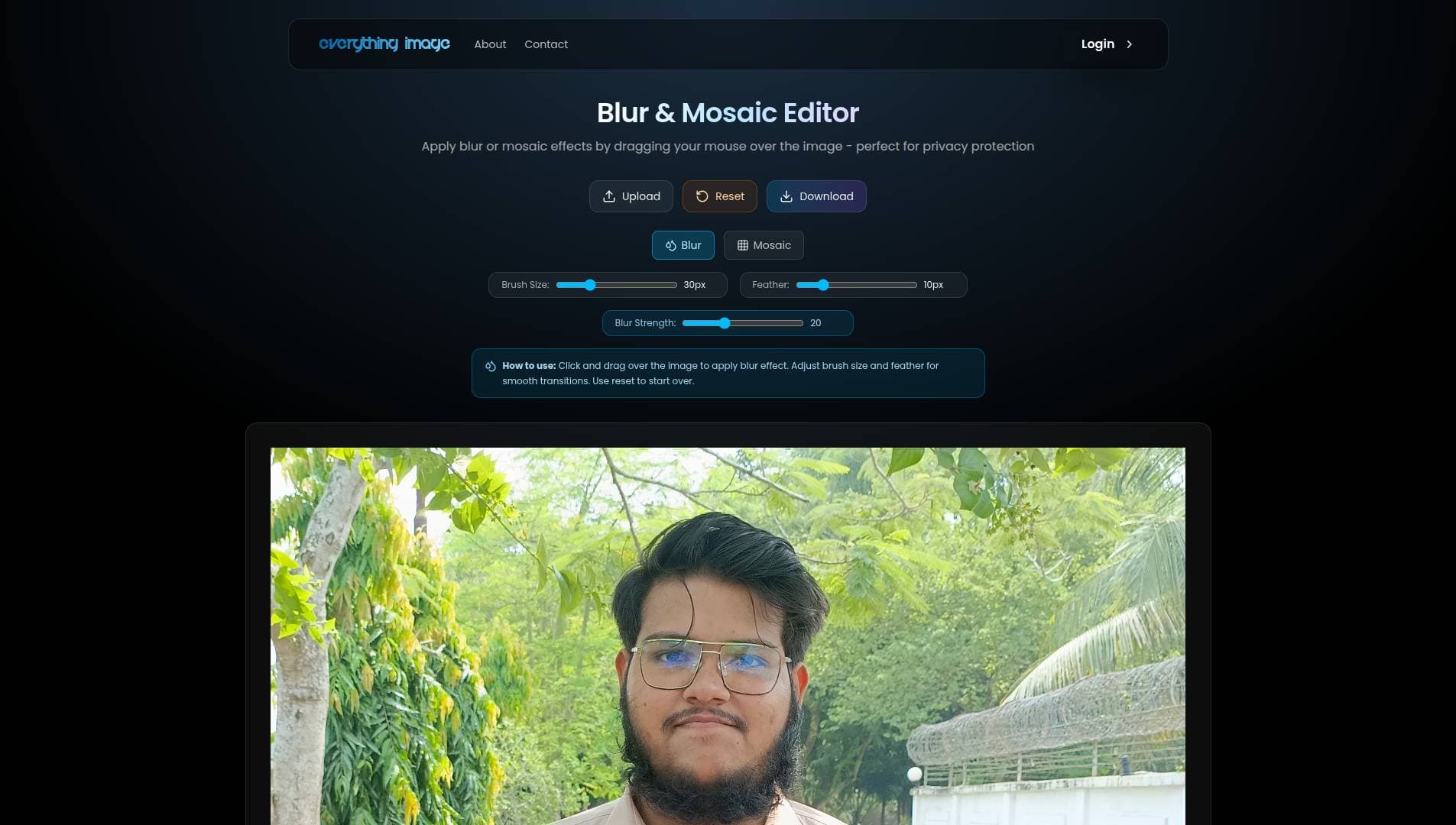 Pro Editor Page